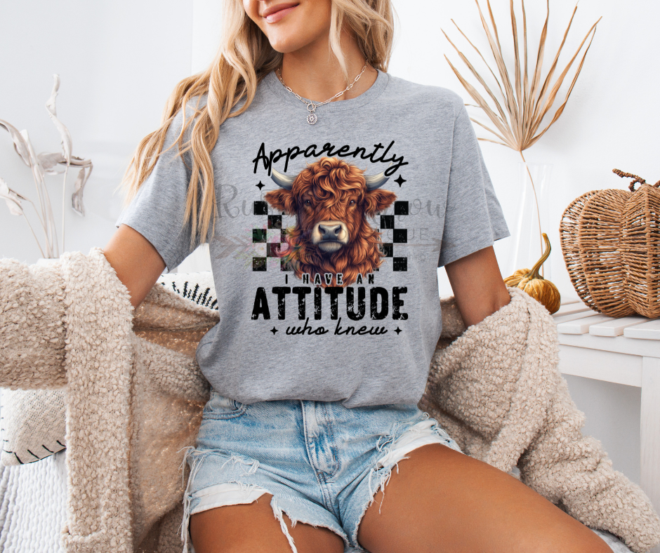 Apparently I have an Attitude who Knew