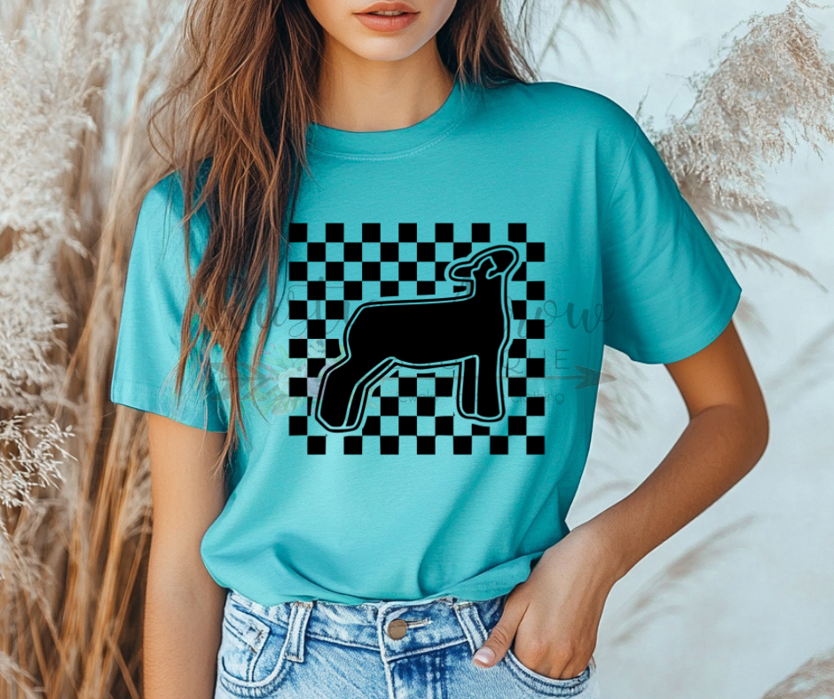 Checkered Lamb