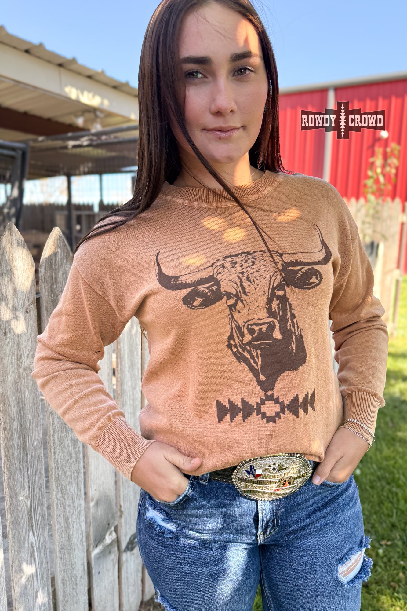 Blazin' Bull Sweater