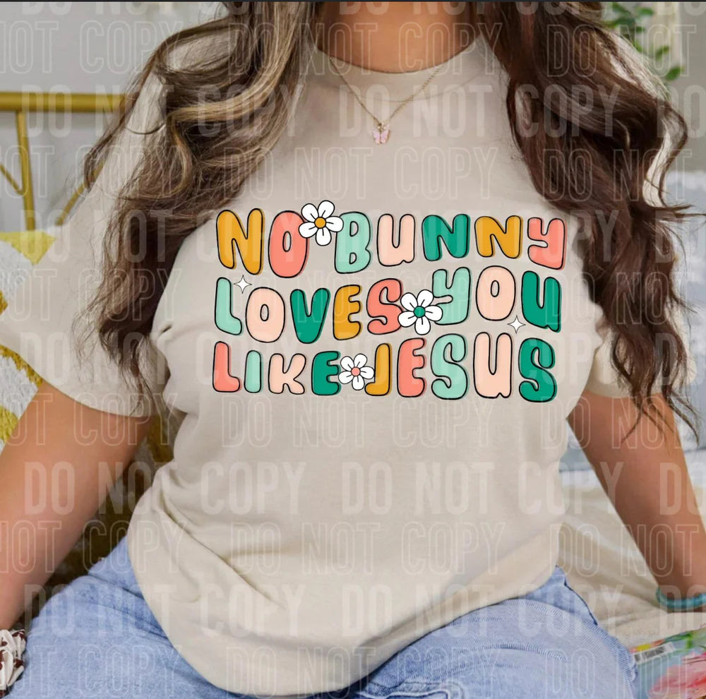 No Bunny Loves You Like Jesus/Teal Shirt