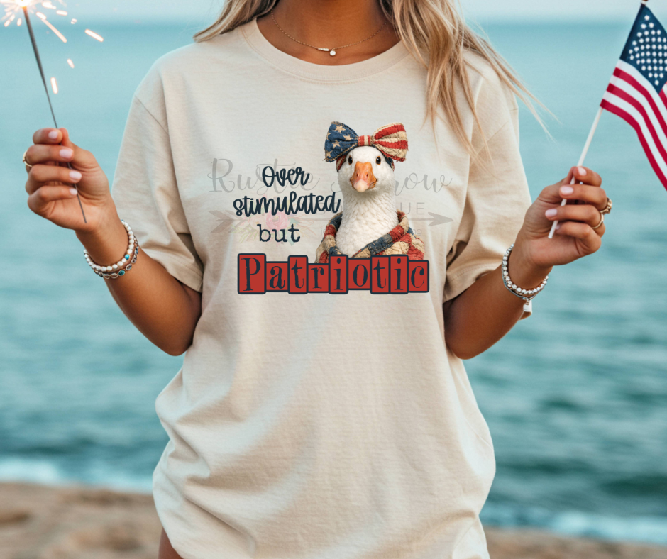 Overstimulated but Patriotic Goose