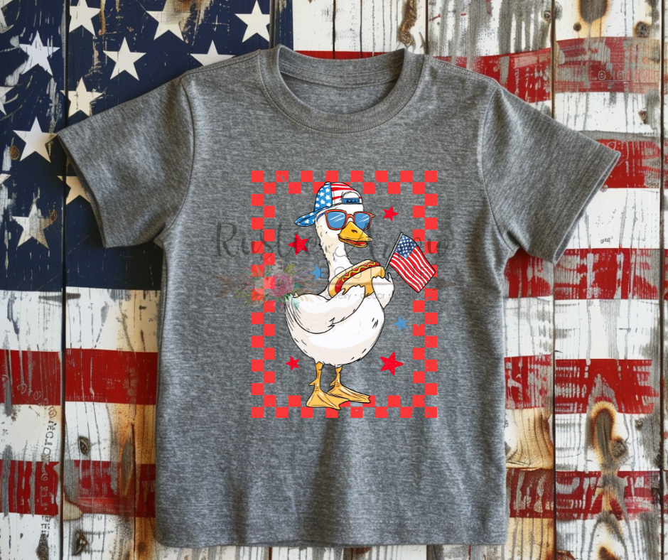 Patriotic Boy Goose