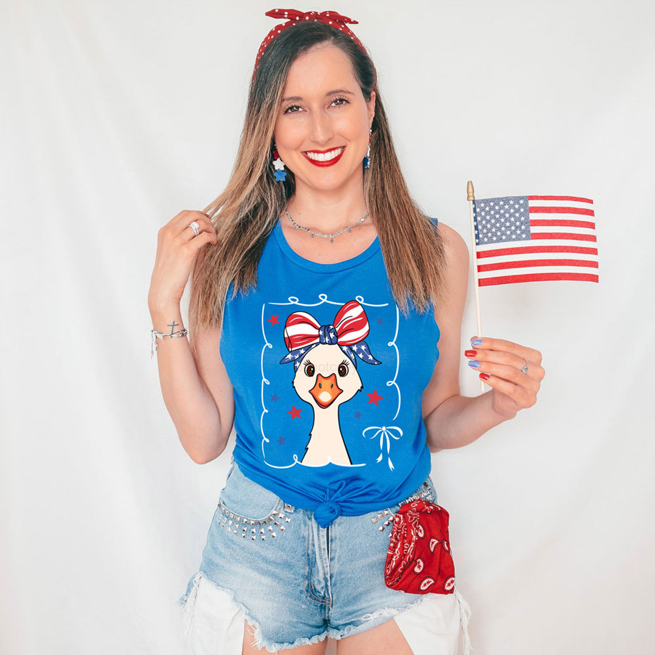 Patriotic Goose