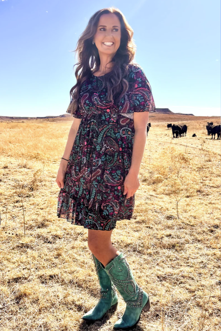 Painted Night Paisley Dress