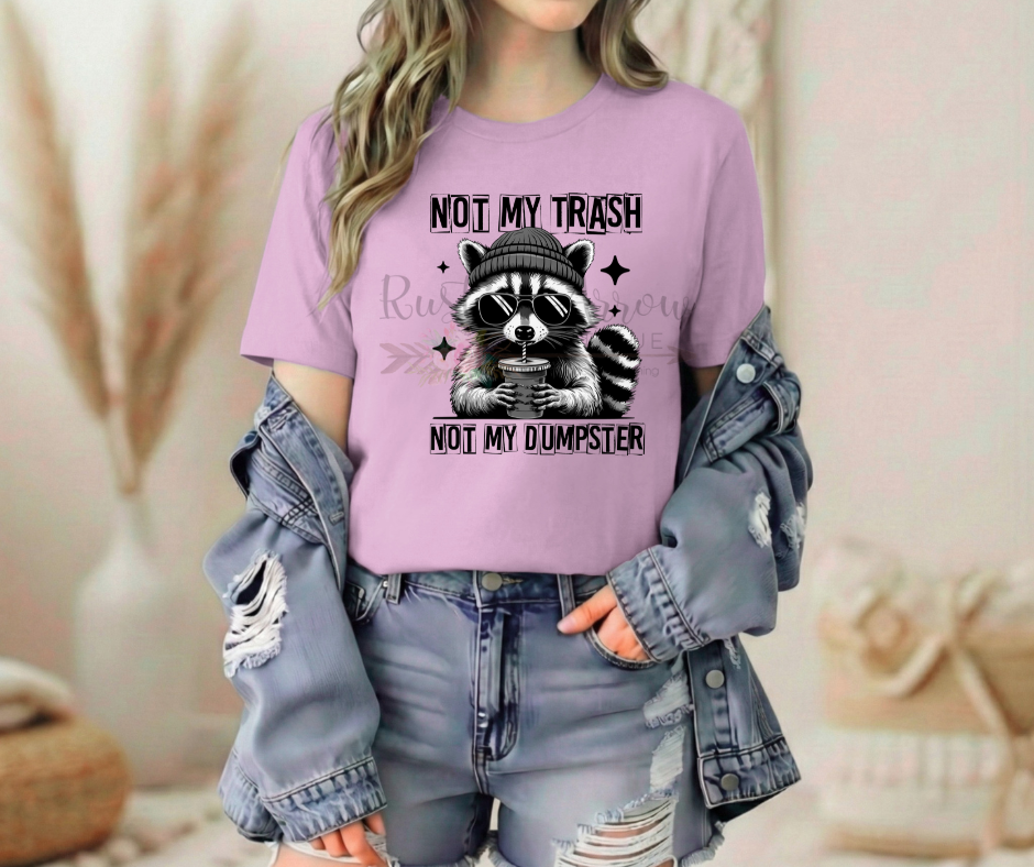 Not My Trash Not My Dumpster