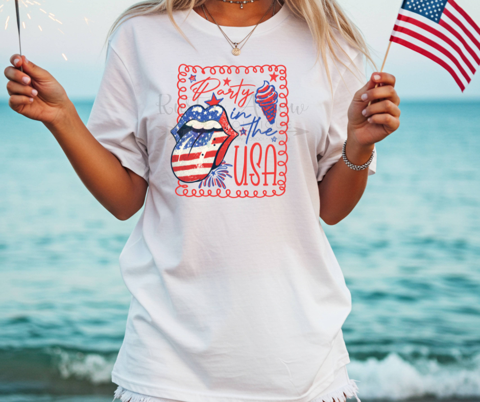 Party in the USA