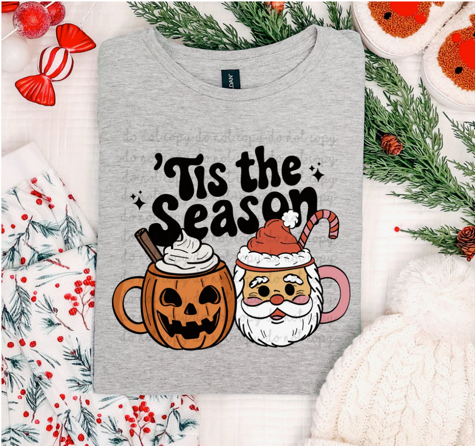 Tis the season pumpkin and Santa mug