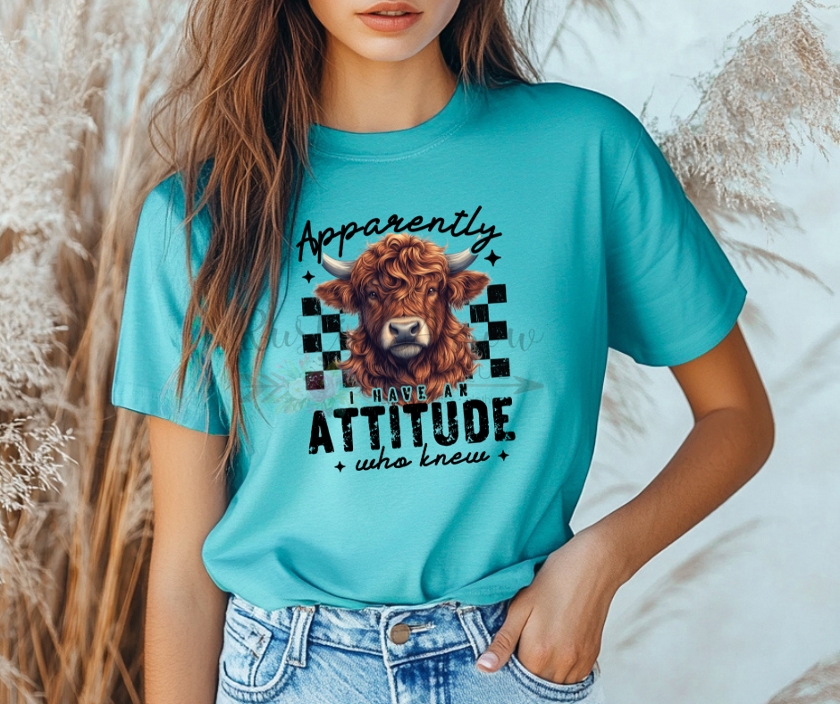 Apparently I have an Attitude who Knew