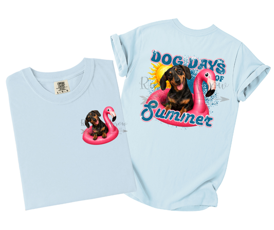 Black Dachshund Dog Days of Summer