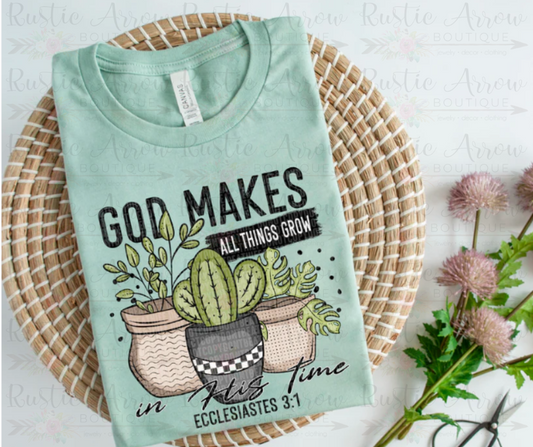 Cacti-God makes all things grow in His time Ecclesiastes 3:1