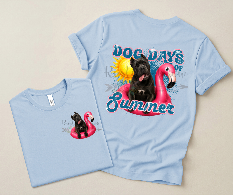 Cane Corso Dog Days of Summer