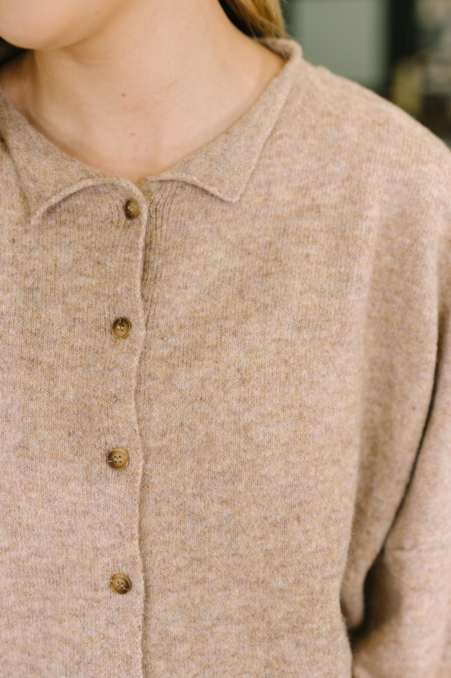 Careful Consideration Collared Button Down in Mocha