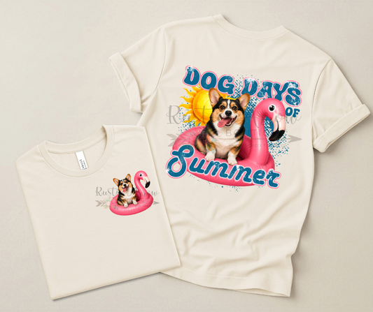 Corgi Dog Days of Summer