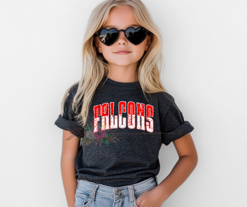 Distressed Varsity Falcons