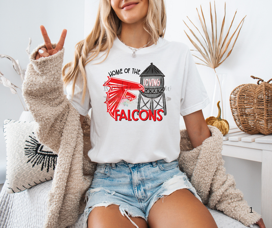 Home of the Falcons Water Tower