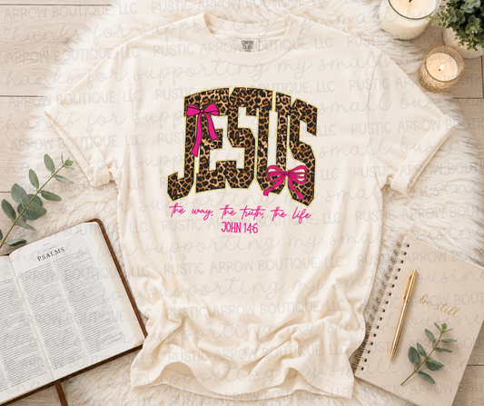 Leopard Jesus the Way the Truth the Life