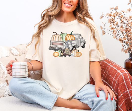 Pumpkins with truck and gnome