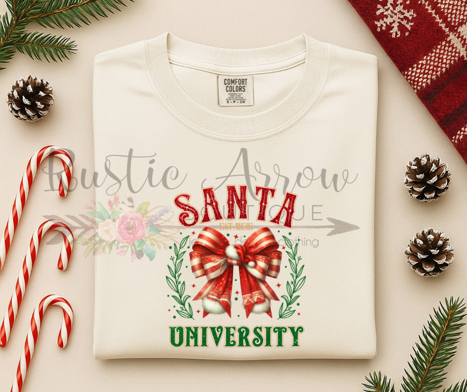 Santa University