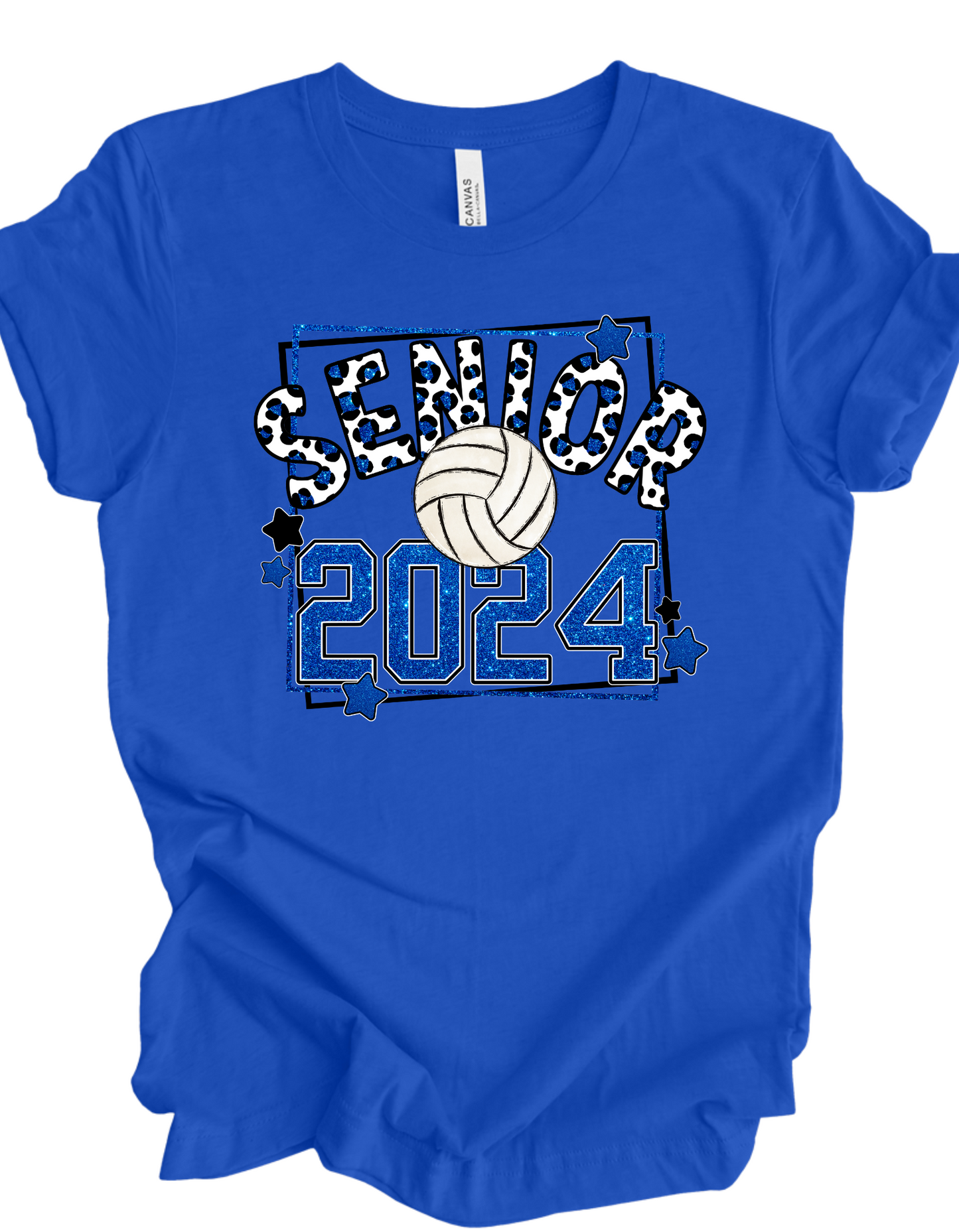 Senior Volleyball 2024