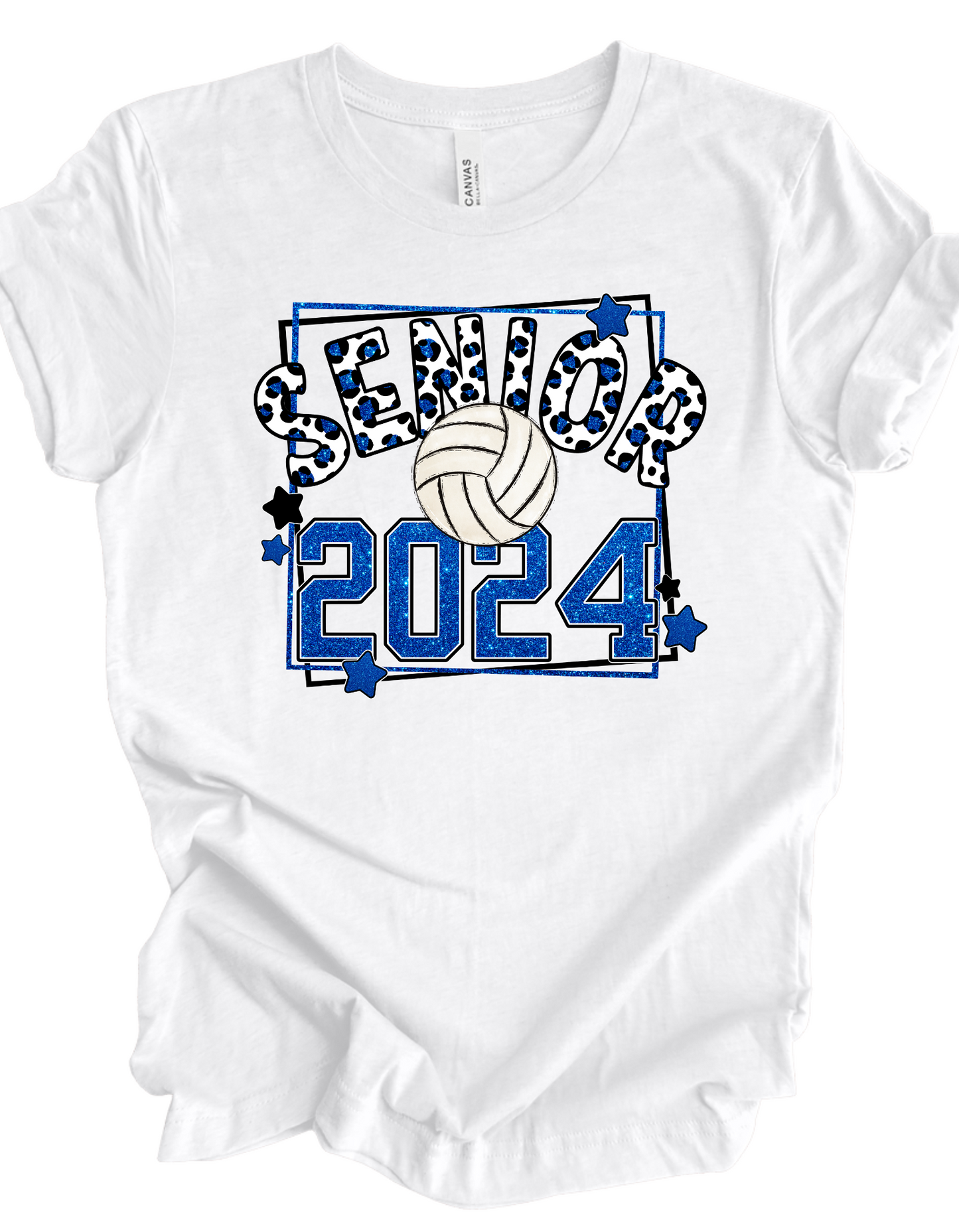 Senior Volleyball 2024