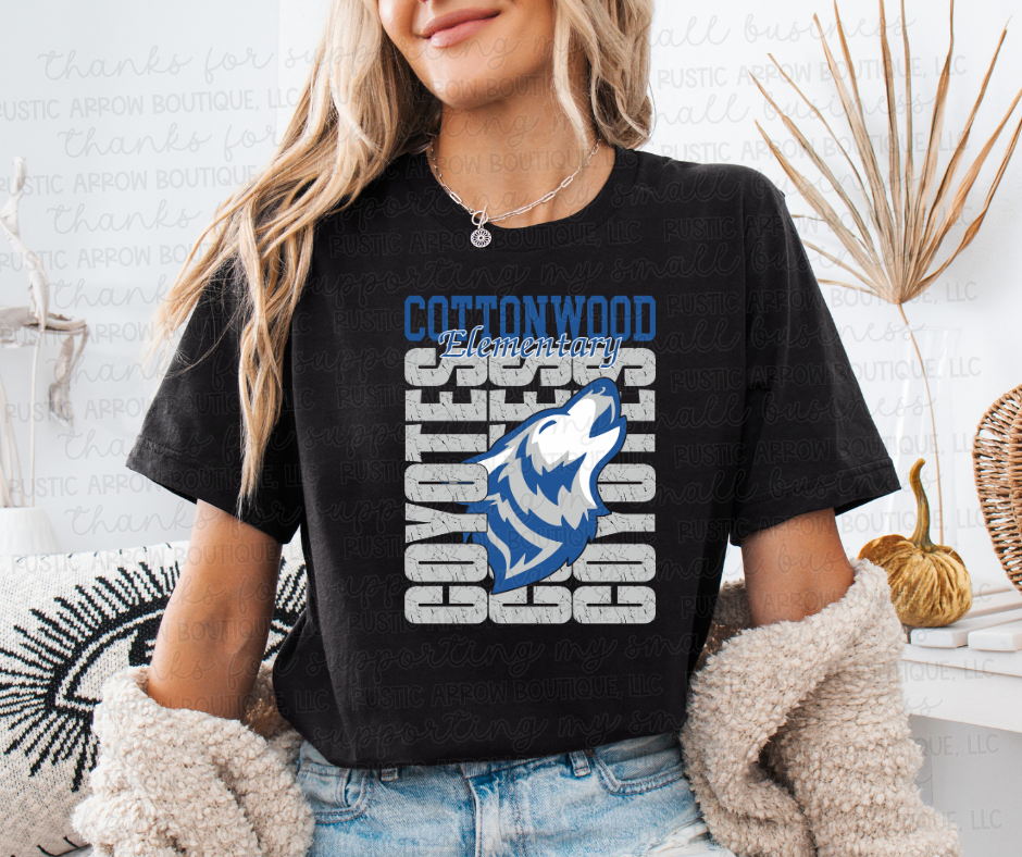 Vintage Grunge Cottonwood Elementary Coyotes