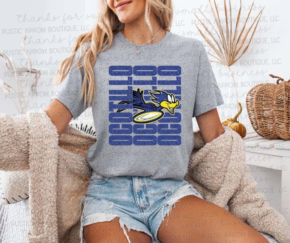 Vintage Grunge Ocotillo Roadrunners