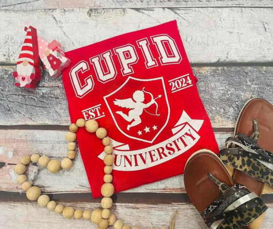 Cupid's University