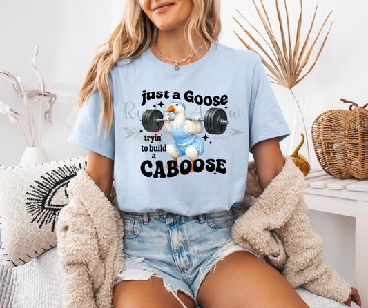 Just a Goose Tryin to Build a Caboose