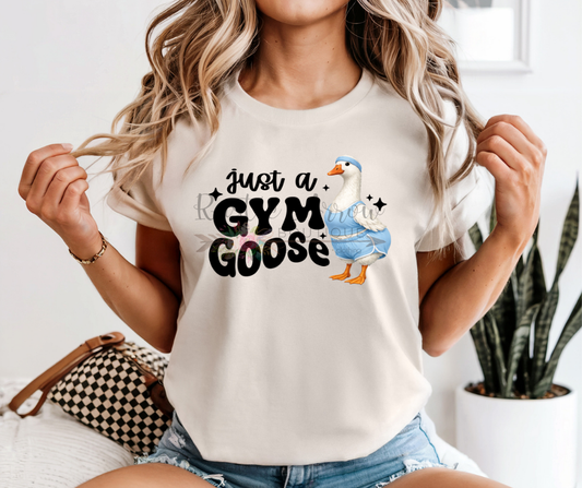 Just a Gym Goose