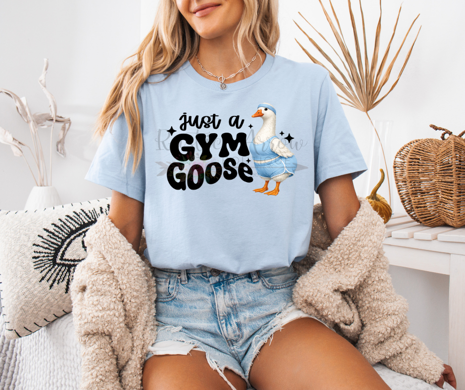 Just a Gym Goose