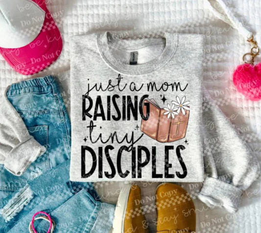 Just a mom raising tiny disciples