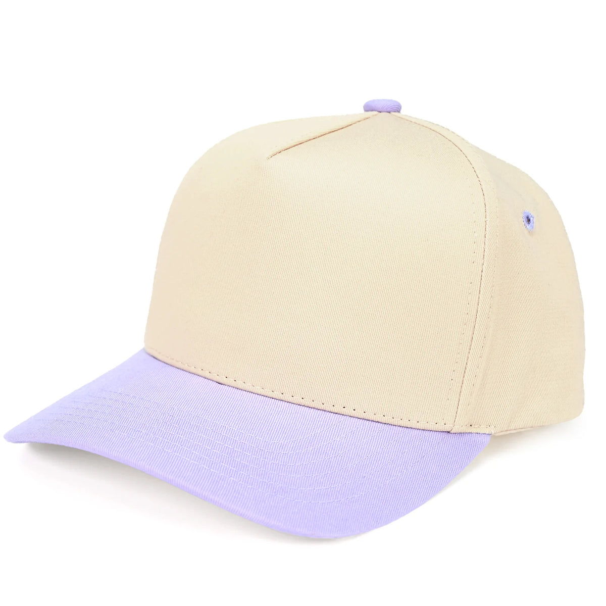 Two Tone Vintage Snapback Hat - Lavendar/Beige