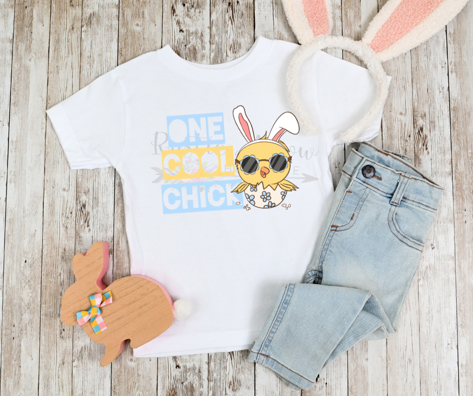 One Cool Chick