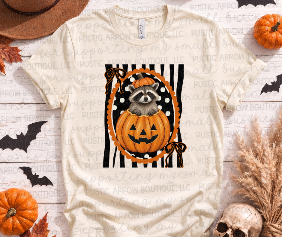 Pumpkin Raccoon Black Stripes