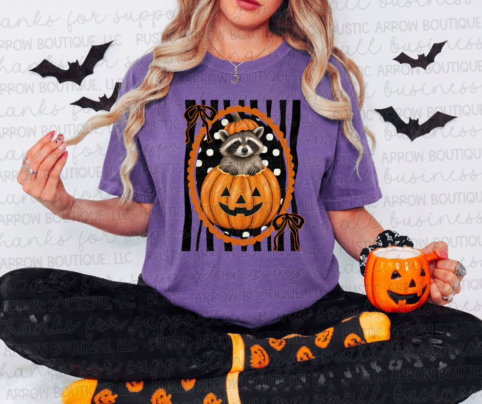 Pumpkin Raccoon Black Stripes