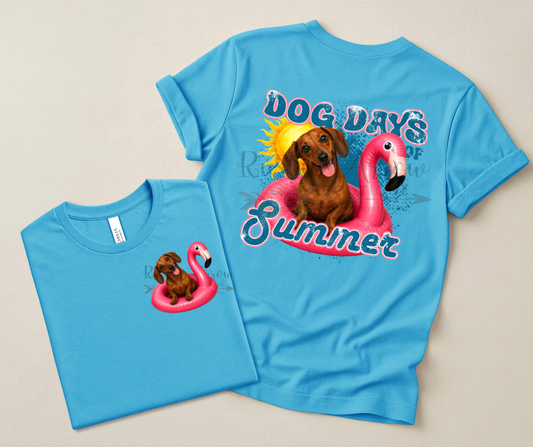 Red Dachshund Dog Days of Summer