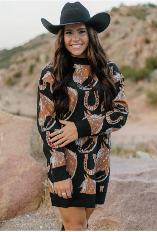 The Ruidoso Sweater Dress